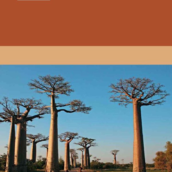 Madagascar, l’île rouge entre Afrique et Asie