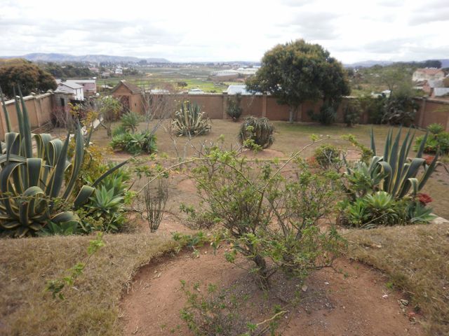 à-vendre-maison-jardin-ambohibao-ofim-immobilier