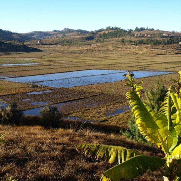 En quoi consiste le bail emphytéotique à Madagascar ?