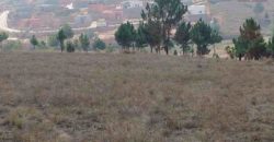 A vendre : Lots de terrains aménagés de 500 m² à 10 minutes du Lycée Français d’Ambatobe