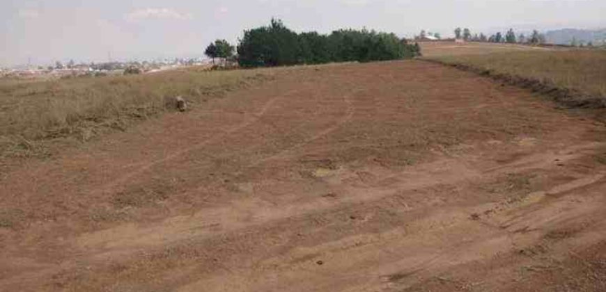 A vendre : Lots de terrains aménagés de 500 m² à 10 minutes du Lycée Français d’Ambatobe
