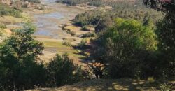 Un très beau terrain de 14 000 m2, Manjakandrina