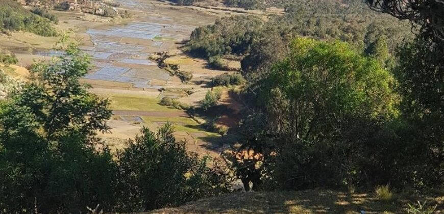 Un très beau terrain de 14 000 m2, Manjakandrina