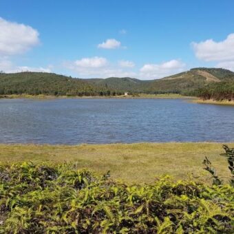 Un très beau terrain de 14 000 m2, Manjakandrina