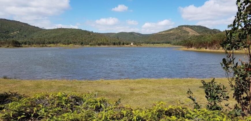 Un très beau terrain de 14 000 m2, Manjakandrina