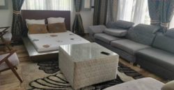 A vendre une grande villa F8 de standing avec piscine sur 4100 m² de terrain à Ambohibao