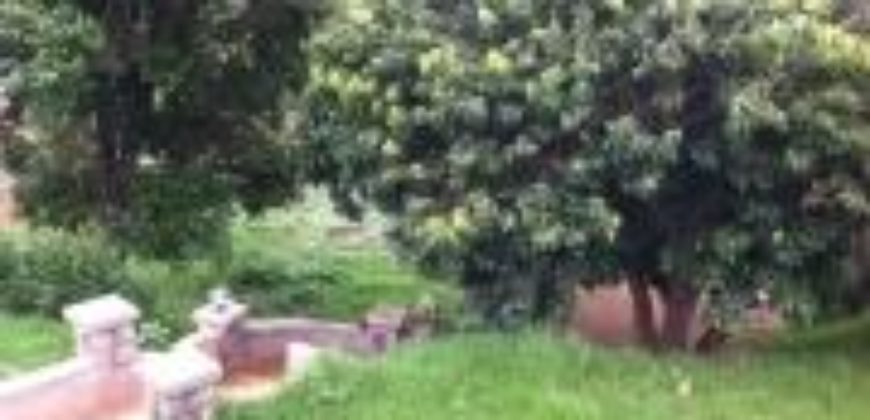Villa F7, Androhibe