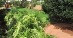Villa F6, Ambohipo