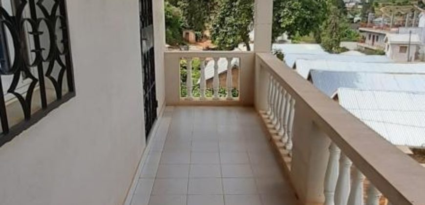 À vendre : Propriété de 1862 m² comprenant 2 villas et un studio, située à Iavoloha