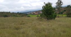 Terrain 5010m2, Ilafy