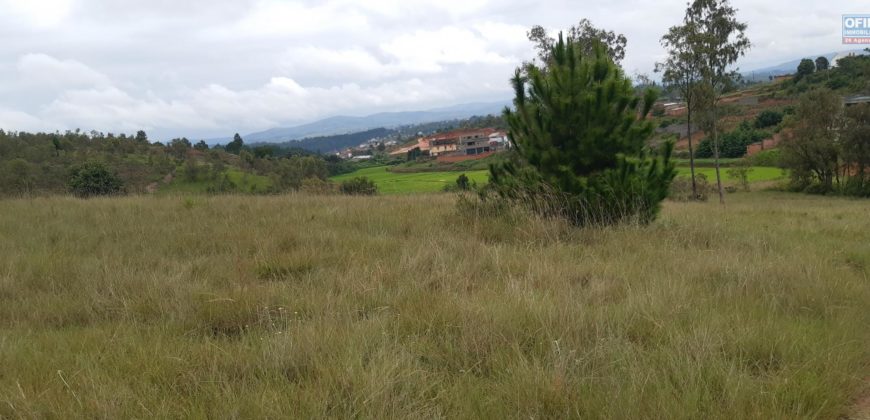 Terrain 5010m2, Ilafy