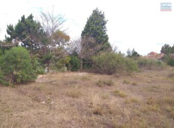 Vente d’un beau terrain de 4236 m2 ;Ambohijanaka Amboanjobe