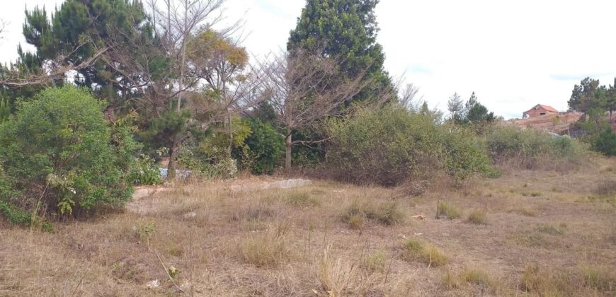 Vente d’un beau terrain de 4236 m2 ;Ambohijanaka Amboanjobe