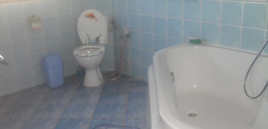 Villa F4 avec jardin et parking à vendre située près de l’école française C à Ambatolampy