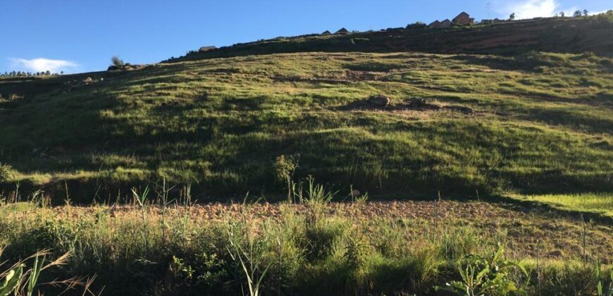 Une carrière de 2ha 20a 21ca, Ambatofotsy