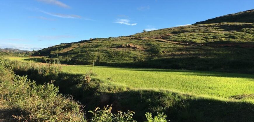 Une carrière de 2ha 20a 21ca, Ambatofotsy