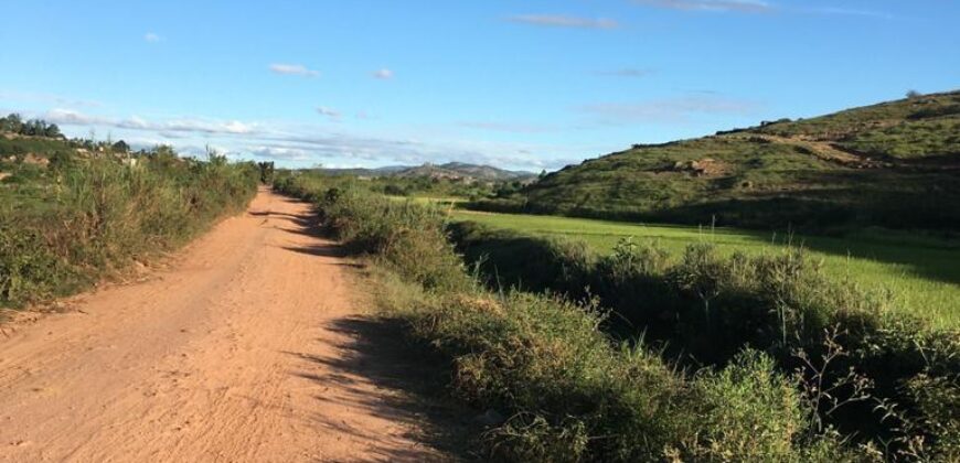 Une carrière de 2ha 20a 21ca, Ambatofotsy