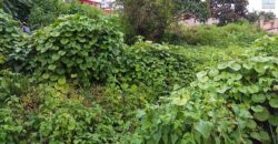 A vendre un terrain de 1400m2 situé proche du centre-ville à Fort Voyron