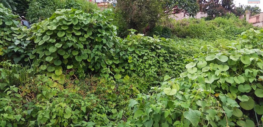 A vendre un terrain de 1400m2 situé proche du centre-ville à Fort Voyron