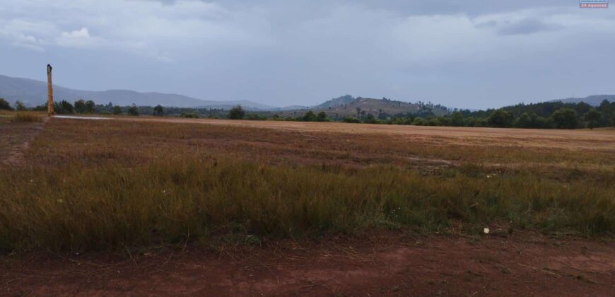 Terrain 7149m2, Ambohimalaza