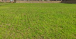A vendre un beau terrain de 3720m2 situé à Alasora