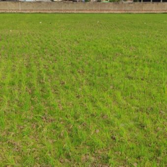A vendre un beau terrain de 3720m2 situé à Alasora