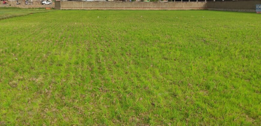 A vendre un beau terrain de 3720m2 situé à Alasora
