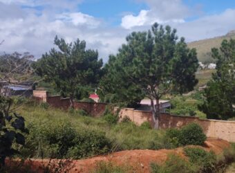 Terrain 500 m2, Ambohimalaza