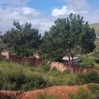 Terrain 500 m2, Ambohimalaza