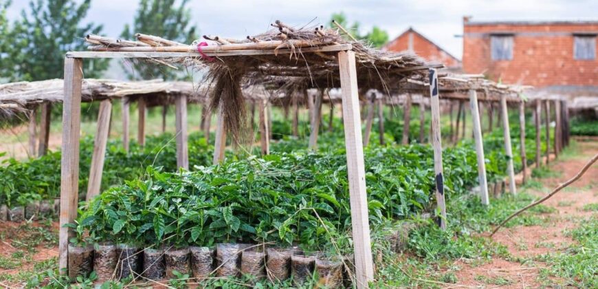 Une propriété de 1Ha 77a 50ca , Ambohimanambola Masindray