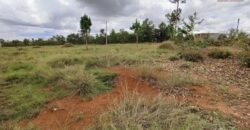 A vendre un beau terrain de 3000 m2 situé à Andakana, Ambohidratrimo.