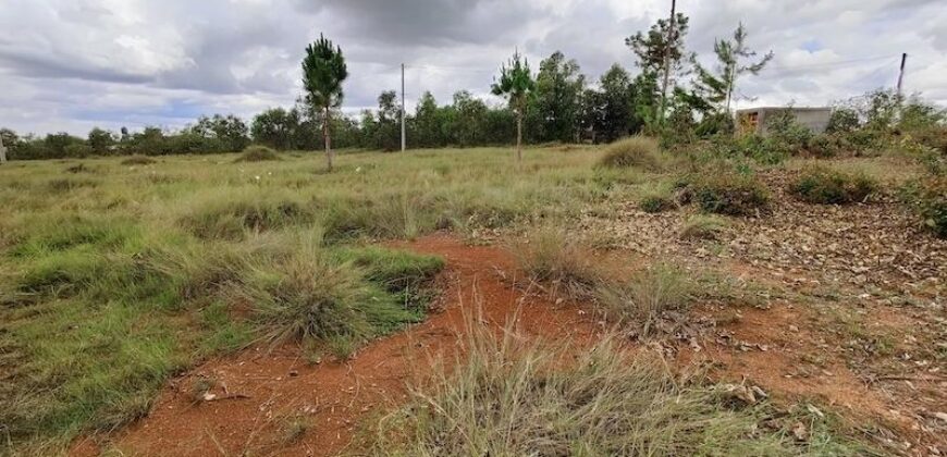 A vendre un beau terrain de 3000 m2 situé à Andakana, Ambohidratrimo.