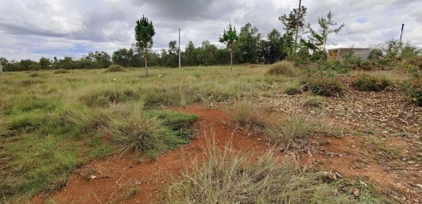 Un beau terrain de 4000M2, Ambohidratrimo