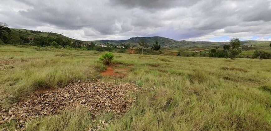 A vendre un beau terrain de 3000 m2 situé à Andakana, Ambohidratrimo.