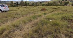 A vendre un beau terrain de 3000 m2 situé à Andakana, Ambohidratrimo.