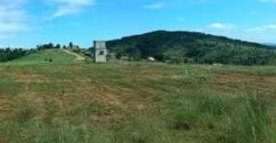 Propriété de 2ha 700 à Ambatomirahavavy : Idéal pour l’agriculture et l’élevage, avec vue panoramique