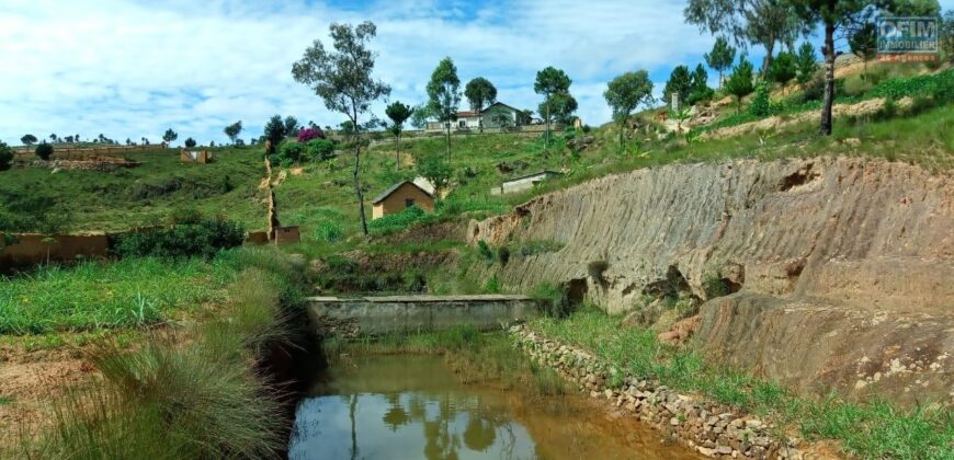 Propriété de 2ha 700 à Ambatomirahavavy : Idéal pour l’agriculture et l’élevage, avec vue panoramique