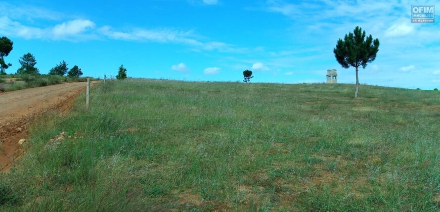 Propriété de 2ha 700 à Ambatomirahavavy : Idéal pour l’agriculture et l’élevage, avec vue panoramique