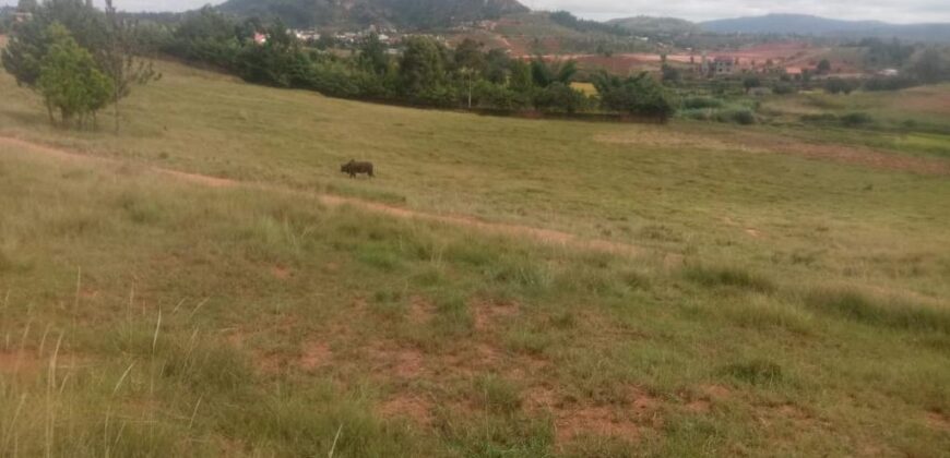 Terrain plat de 1ha77a30ca à vendre à Ambatolampy Tsimahafotsy, idéal pour entrepôt ou usine