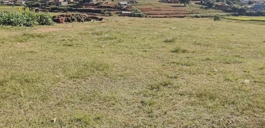 Terrain de 2075M2, Ambohidratrimo