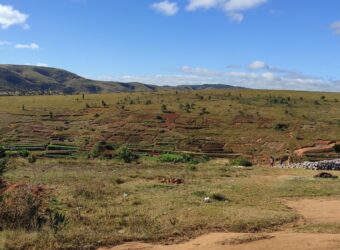 Beau terrain de 1500 m2 à Ambohimalaza