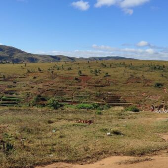 Beau terrain de 1500 m2 à Ambohimalaza