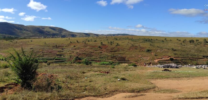 Beau terrain de 1500 m2 à Ambohimalaza