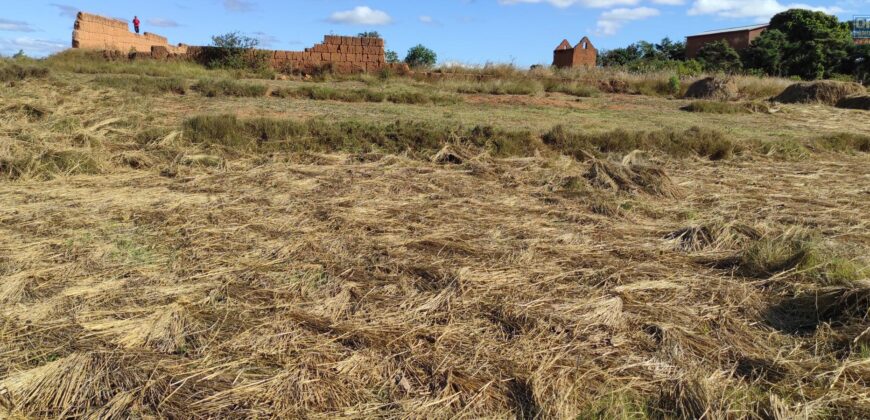 Beau terrain de 1500 m2 à Ambohimalaza