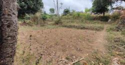 A vendre un beau terrain de 2625 m2 situé dans un cadre privilégié à Ivato