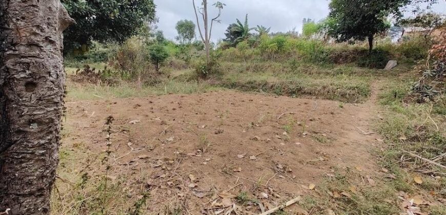 A vendre un beau terrain de 2625 m2 situé dans un cadre privilégié à Ivato