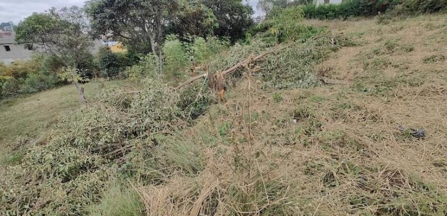 A vendre un beau terrain de 2625 m2 situé dans un cadre privilégié à Ivato