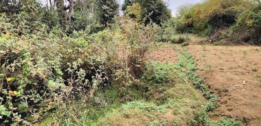 A vendre un beau terrain de 2625 m2 situé dans un cadre privilégié à Ivato