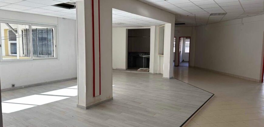 Local professionnel de 300 m2, Antsahavola