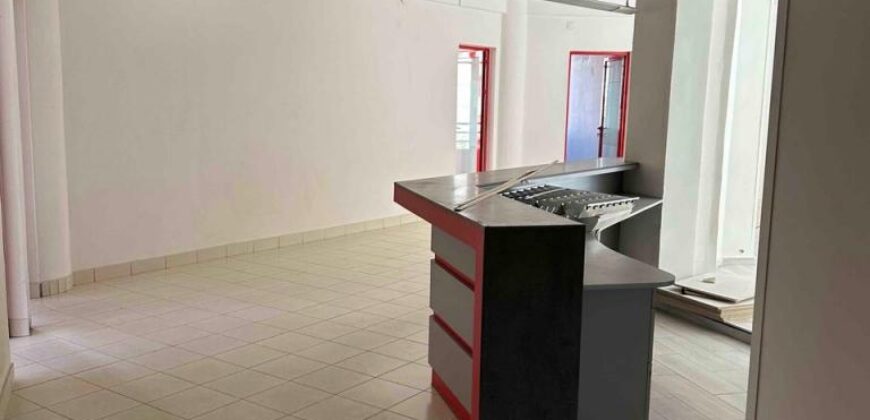 Local professionnel de 300 m2, Antsahavola